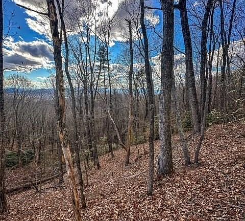 5th image of 0 Mountain Crest Dr S #76