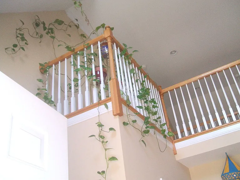 3215 S Winchester Acres Rd — Photo 25