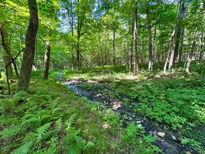 00 Mountain Road, Bath, NH, 03740