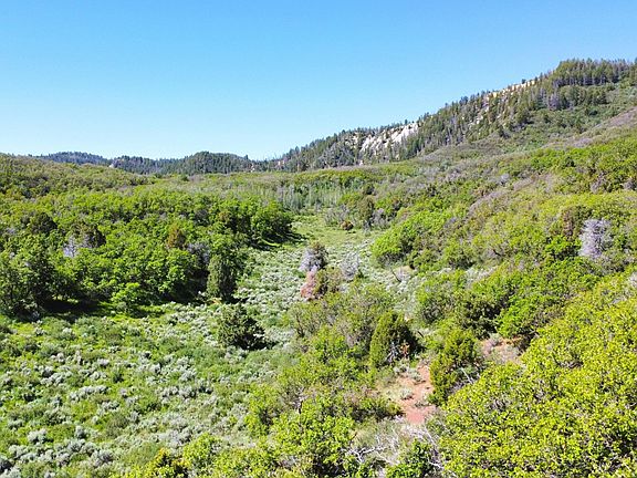 3rd image of 13 Tbd Hwy