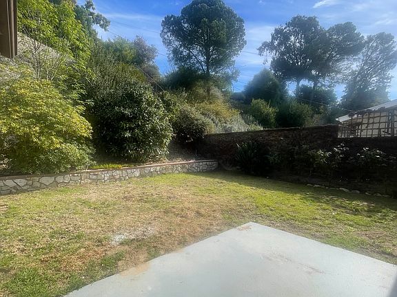 back yard view 1