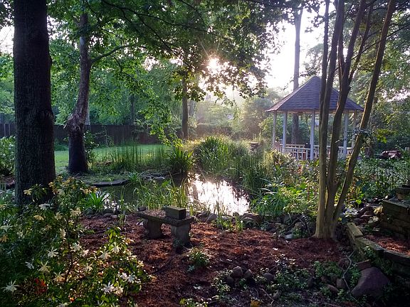 Koi Pond 2 May 2019