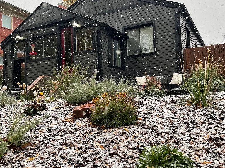 xeriscape front yard