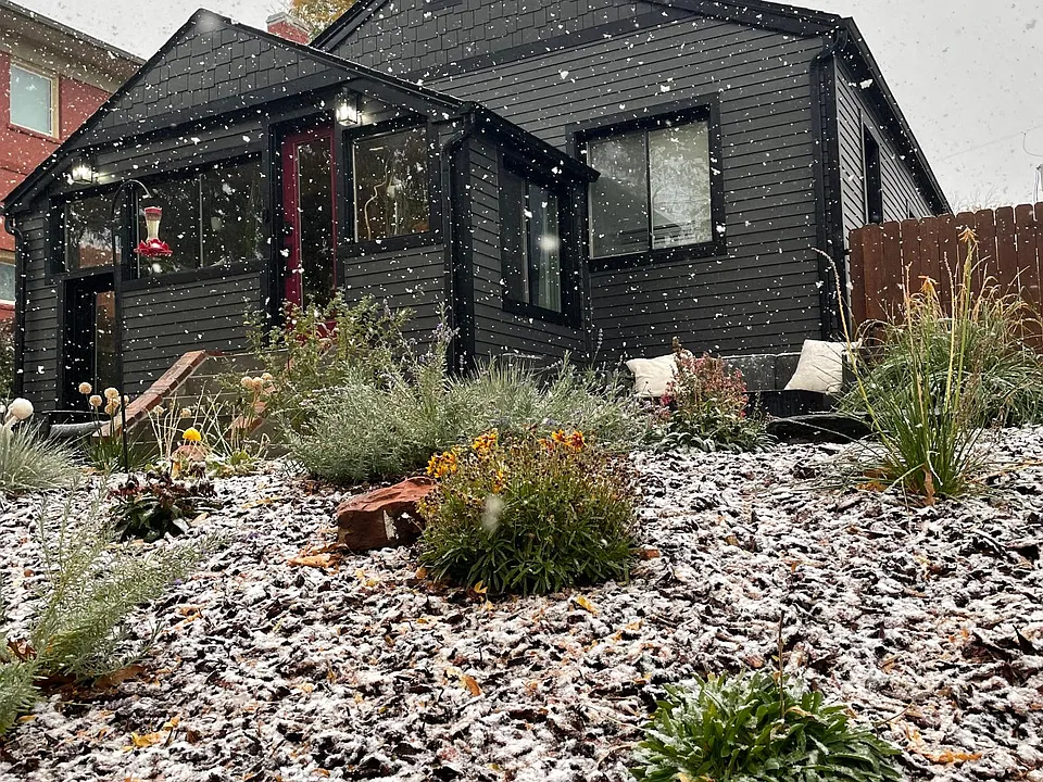 xeriscape front yard
