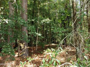 LOT 29 Beech Dr, Westville, FL 32464