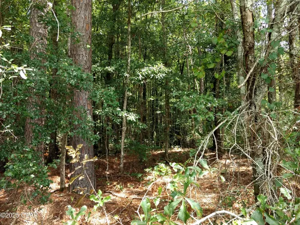 LOT 29 Beech Dr, Westville, FL 32464