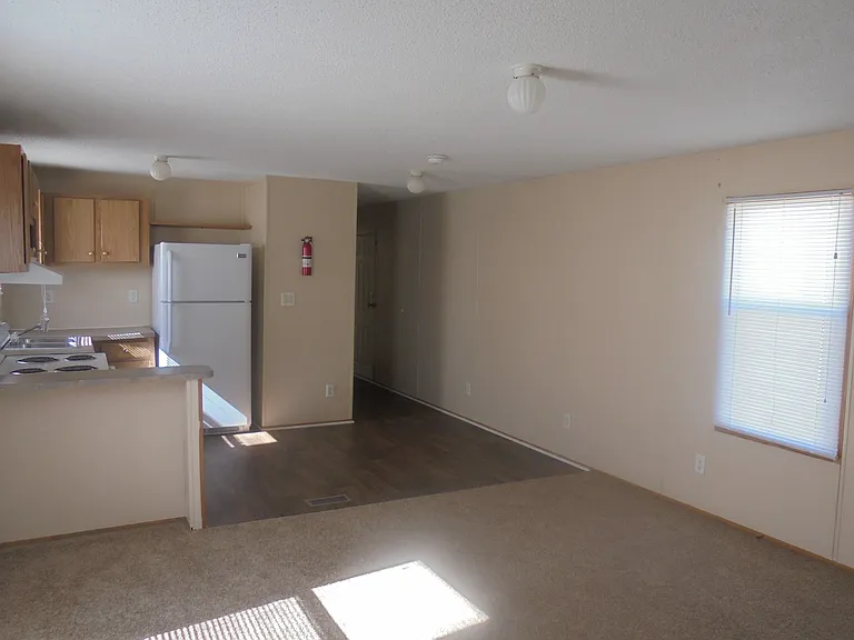 Palmetto Palms — Photo 19
