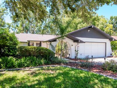 23924 Forest Pl, Land O Lakes, FL, 34639