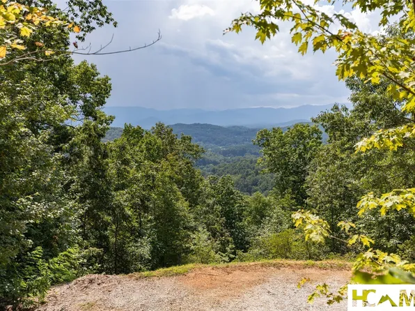 TBD Onion Mountain Road, Franklin, NC 28734