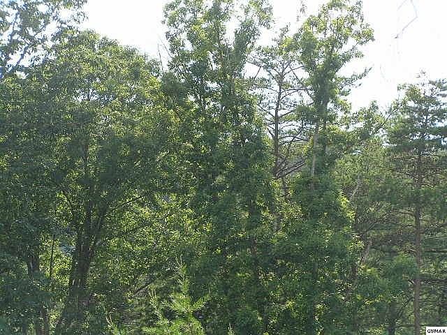1st image of 82 Smoky Cove Rd Lot 82