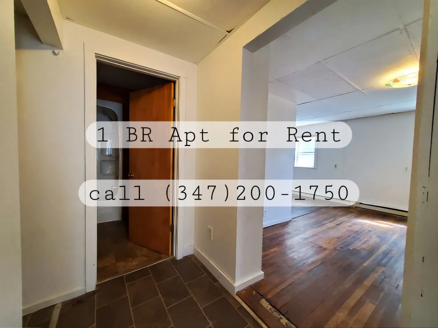 1 bed, $850 — Photo 4