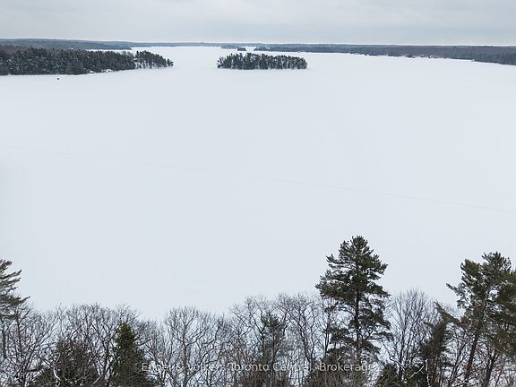 3rd image of 1246 Purdy Rd