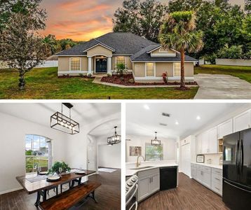 14701 Timucua Pl, Clermont, FL, 34711