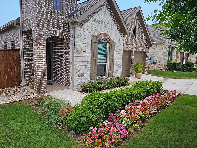 Landscaped front yard