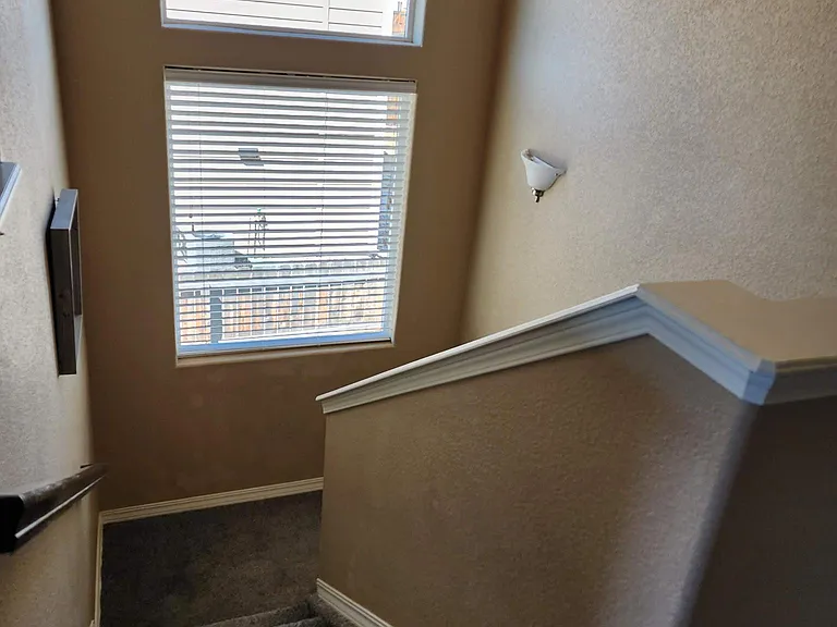 9566 Desert Lily Cir — Photo 14