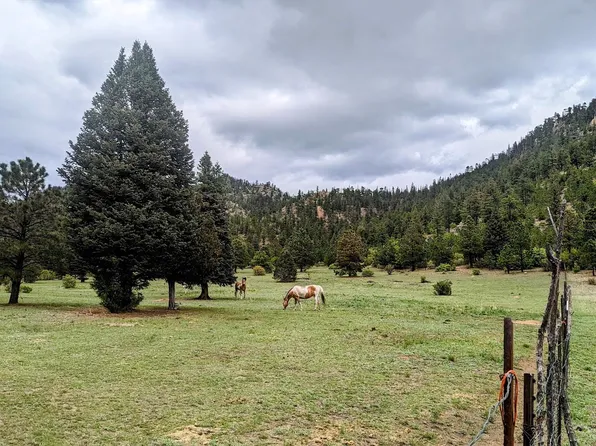 46 County Road A015, Mora, NM 87732