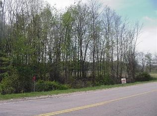 34 Bond St, Allegan, MI 49010