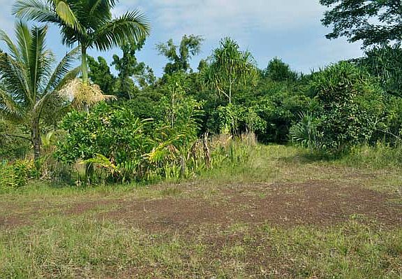 5th image of 15-2030 3rd Ave Lot 1398