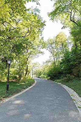 Rented by Algin Management | media 9