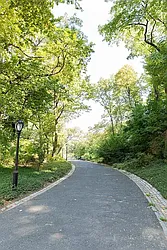 Rented by Algin Management