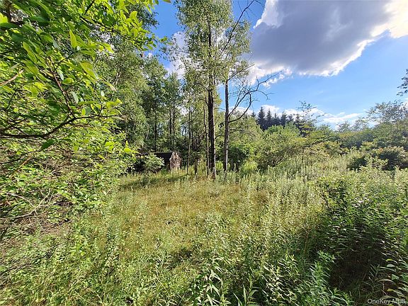 5th image of Burnt Ridge Road