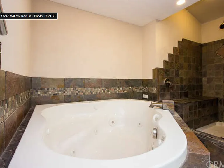 33242 Willow Tree Ln — Photo 3