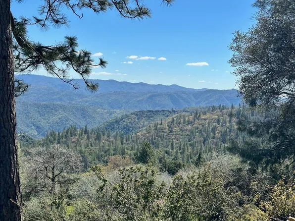 1019 Sandalwood Dr, Murphys, CA 95247