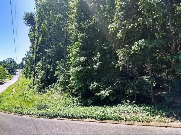 223 Hickory Ridge Trl, Ringgold, GA 30736