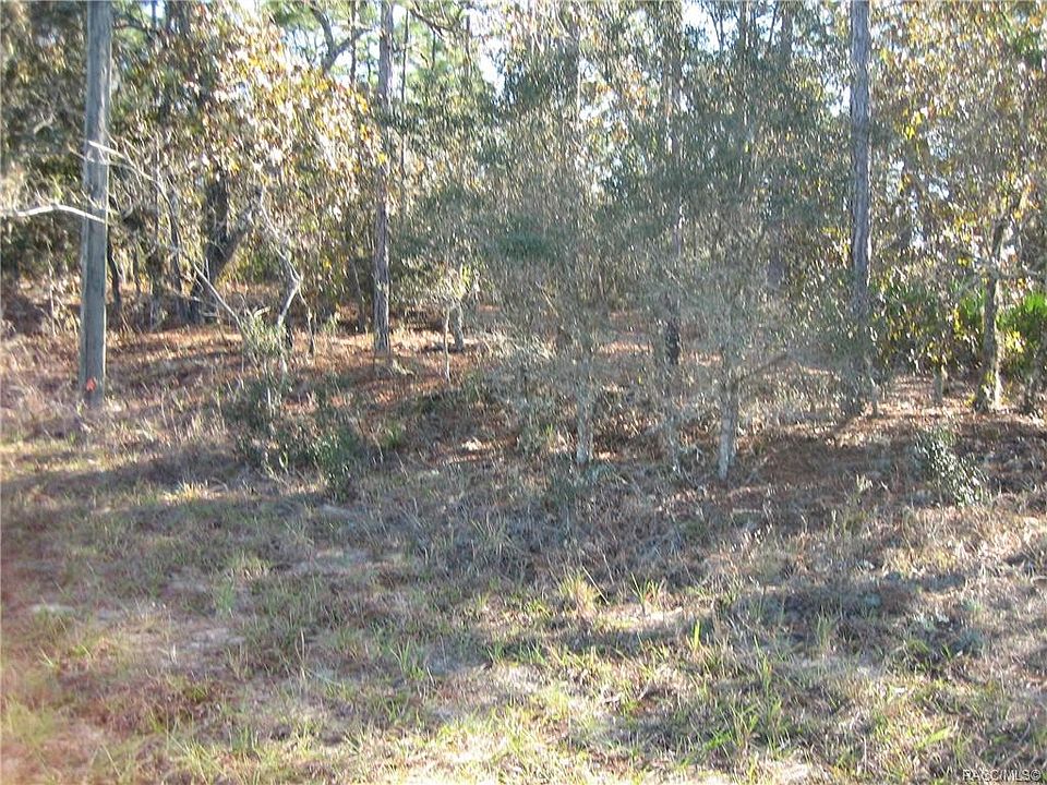 2nd image of 9805 N Dana Way