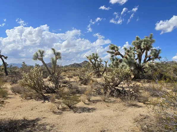 208-27196D S Kinard Rd, Yucca, AZ 86438