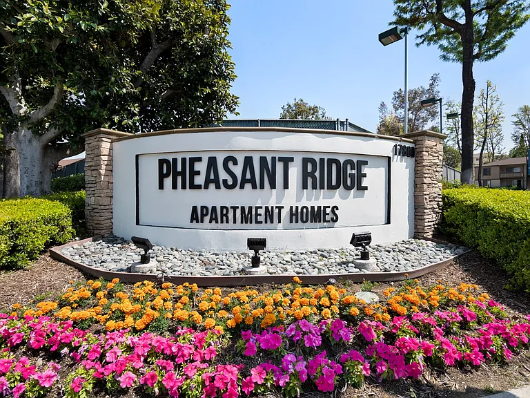 Pheasant Ridge — Photo 36