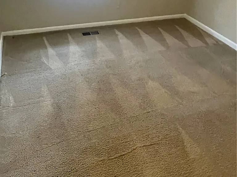 916 Bingham Dr — Photo 14