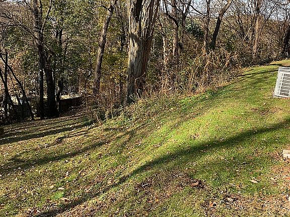 Shade trees in backyard