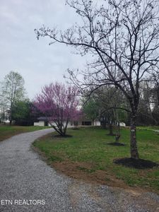 1497 Clevenger Rd, New Market, TN, 37820