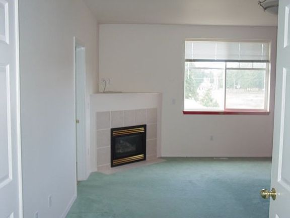 Master bedroom fireplace