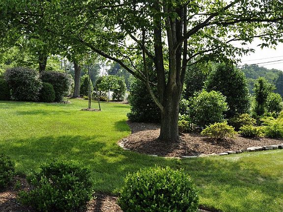 Front Yard