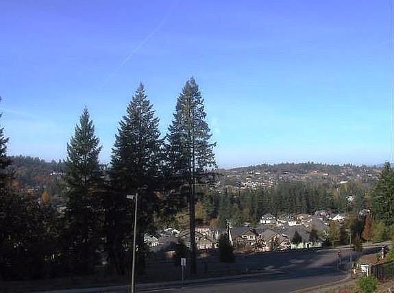 View From Lot