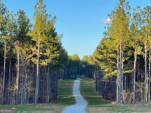 92 Lillian Strong Rd, Carlton, GA 30627