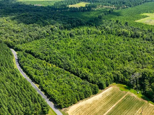 342 Nelson Church Rd, Nelson, VA 24580