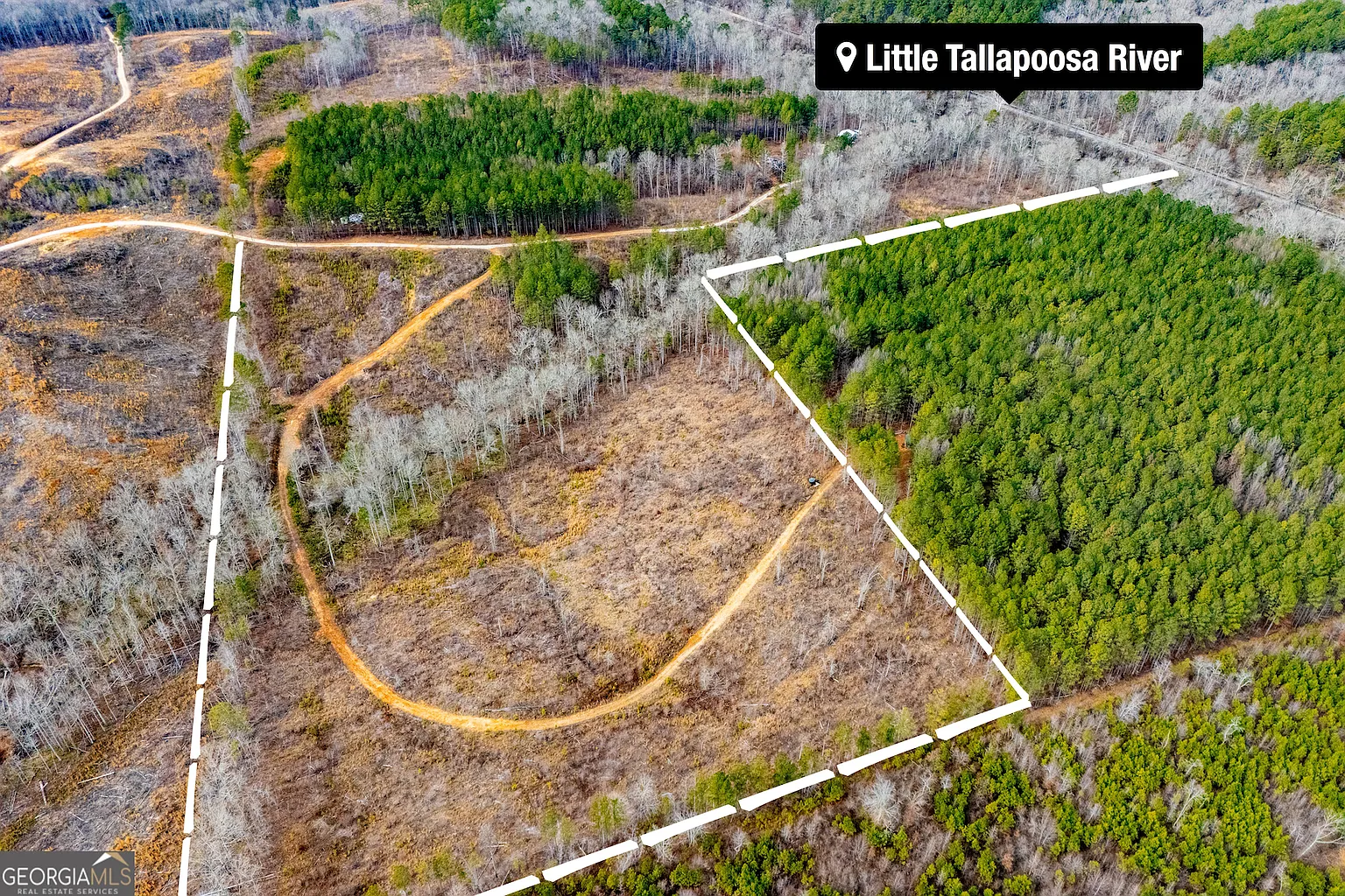 1365 County Road 290 photo 1