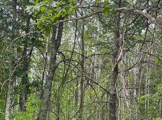 LOT 2 Patriot Ave, Pequot Lakes, MN 56472