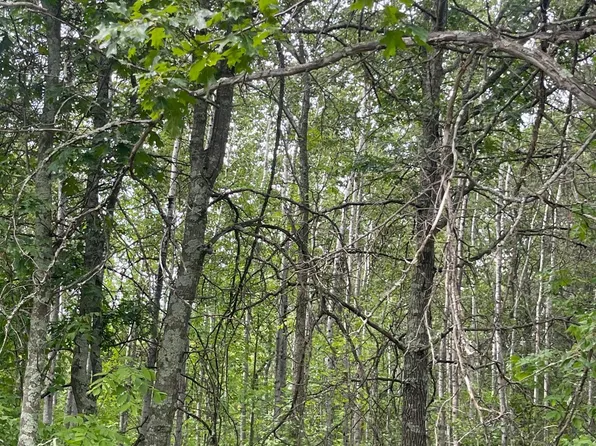 LOT 2 Patriot Ave, Pequot Lakes, MN 56472