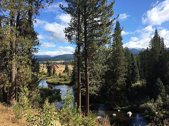 NE view from back yard