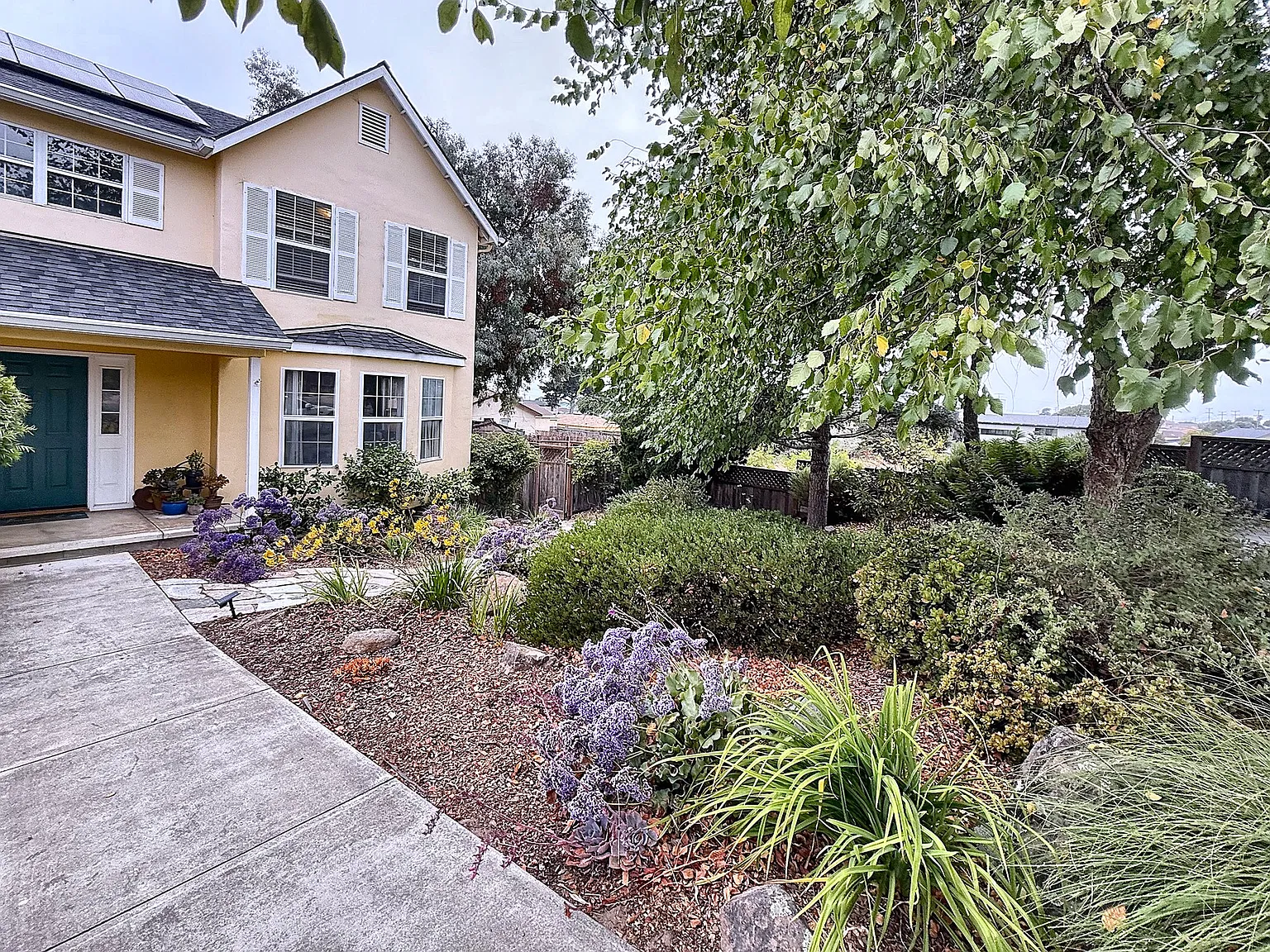 1153 Buena St — Photo 3