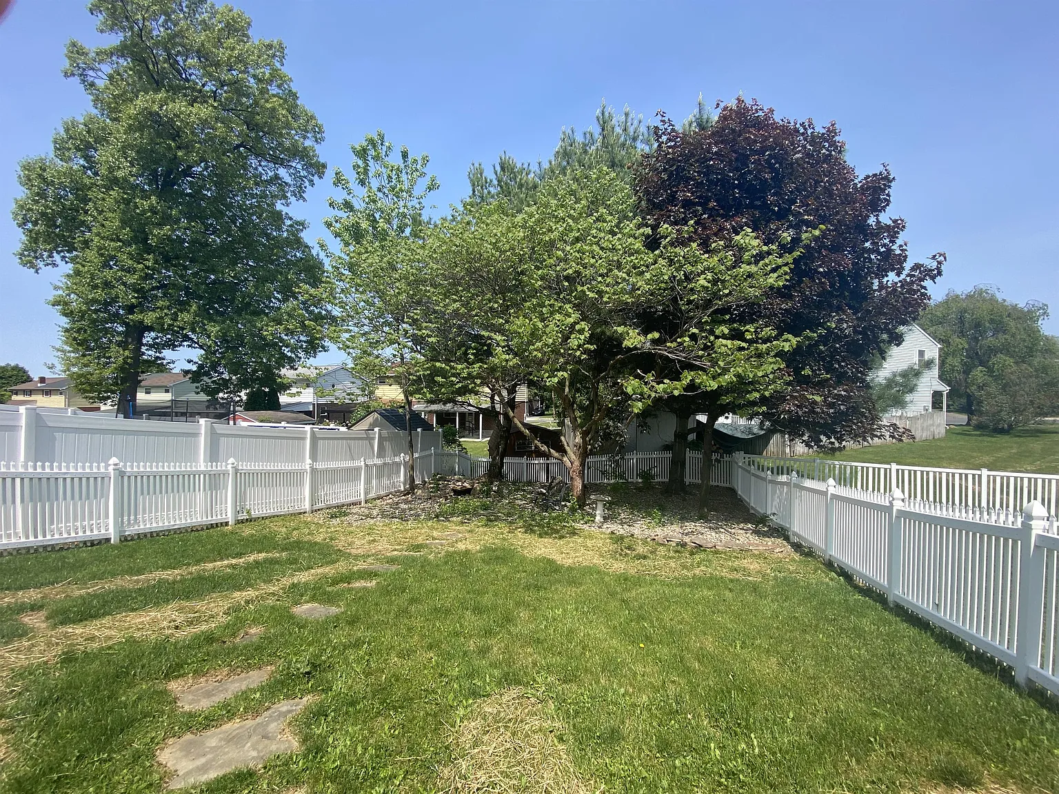 517 East Linden - 517 — Photo 4