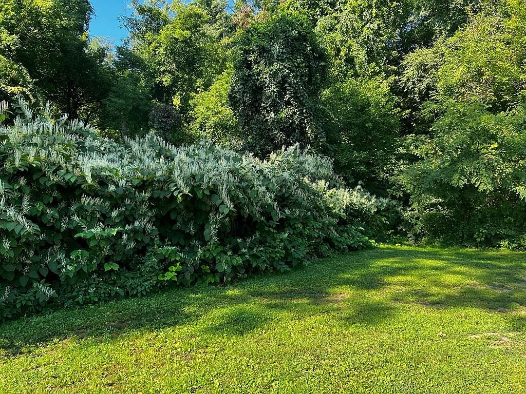 0 W Small St, Mount Union, PA 17066 MLS 2816548 Zillow