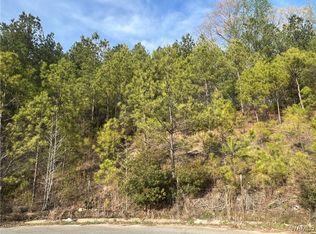 0 Stone Ridge Pkwy, Brookwood, AL 35444