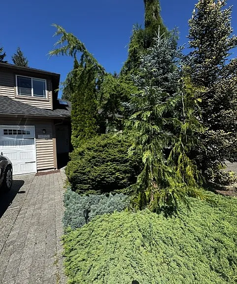 6215 145th St SE — Photo 21