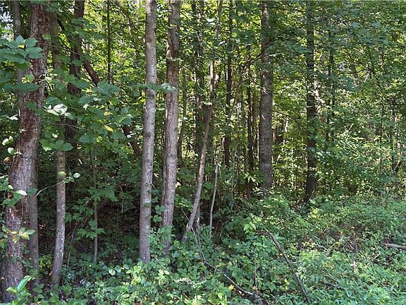 5th image of 0 Sherry Ln
