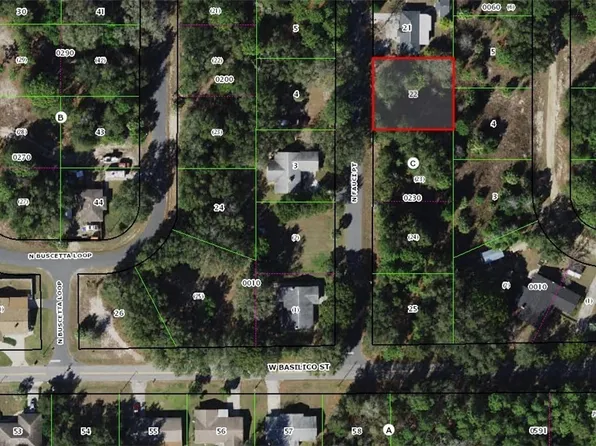 8593 N Fauci Point, Crystal River, FL 34428